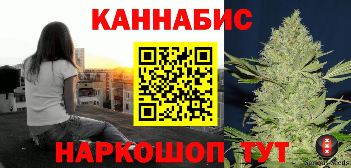 Марихуана сатива Новочеркасск